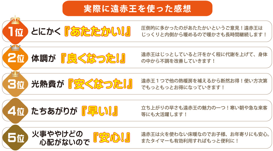 1位 とにかく「あたたかい」2位 体調が「よくなった」3位 光熱費が「やすくなった」4位 たちあがりが「早い」5位 火事ややけどの心配がないので「安心」
